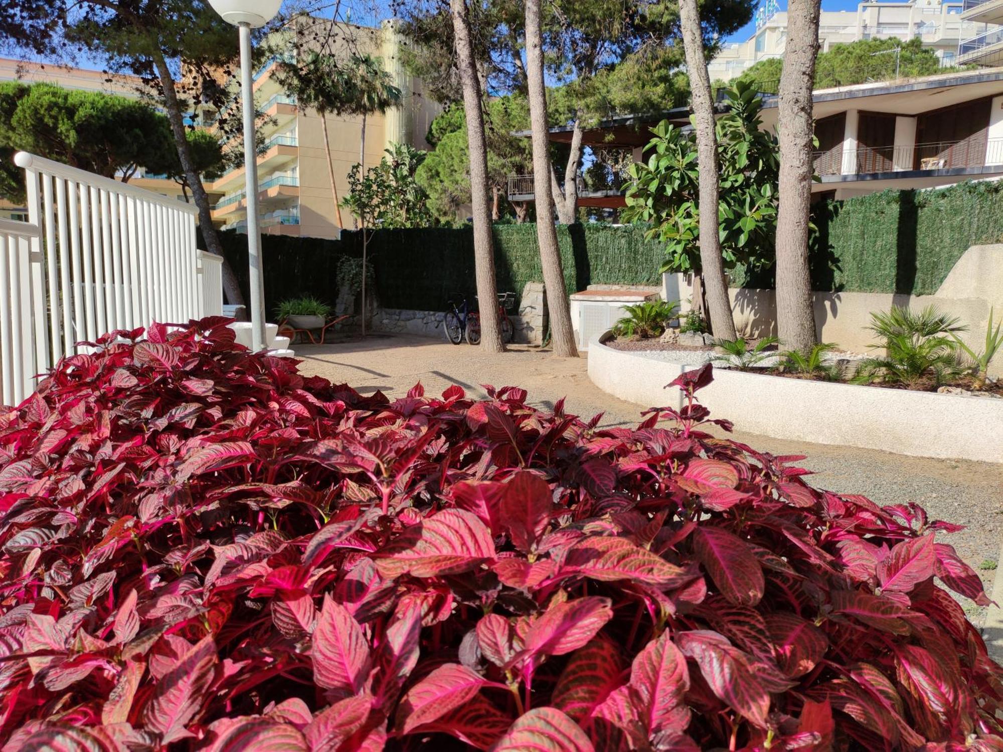 Paradis Salou, Centro Turistico, Wifi, Piscina, Vistas Al Mar Buitenkant foto